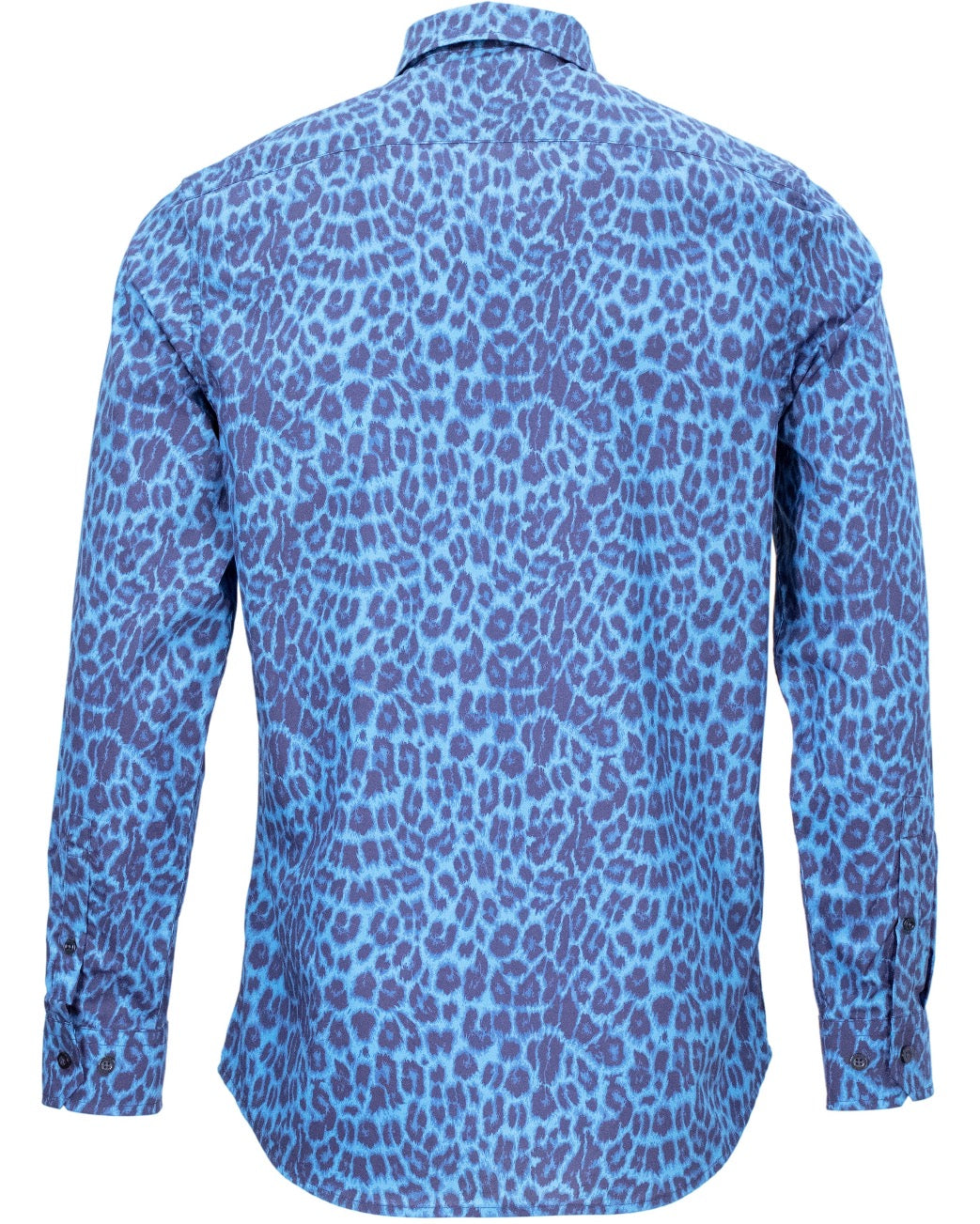 NORMAN LEOPARD SAPPHIRE