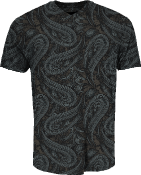 VICTOR PAISLEY BADALONA ANTHRACITE MEN'S EXTRA-FINE MERINO V-NECK TEE
