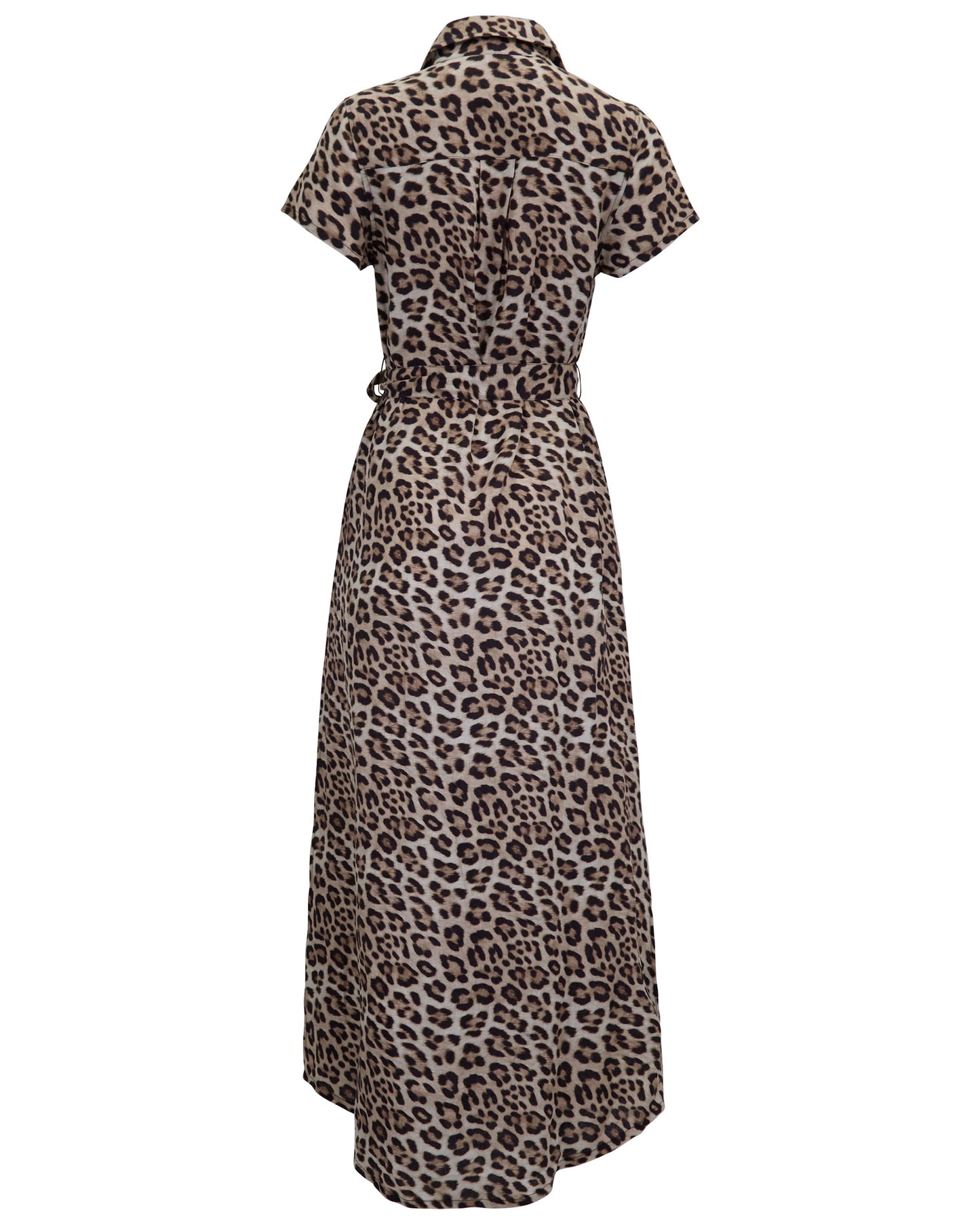 DORINDA LEOPARD BROWN WOMENS SHIRT DRESS