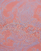VICTORIA PAISLEY EXPLOSION CORAL WOMENS V-NECK PRINTED TOP
