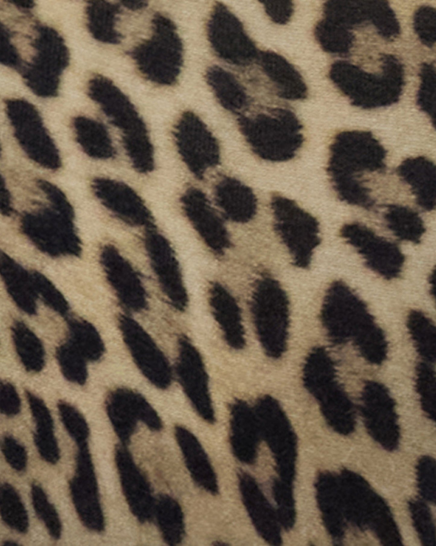 CALI LEOPARD BROWN WOMENS CROPPED CARDIGAN